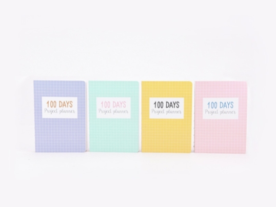 Grid 100 Days Project Planner3