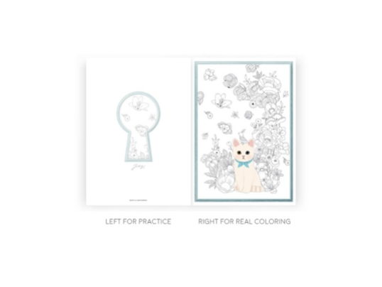 Jetoy Cat Coloring Book2